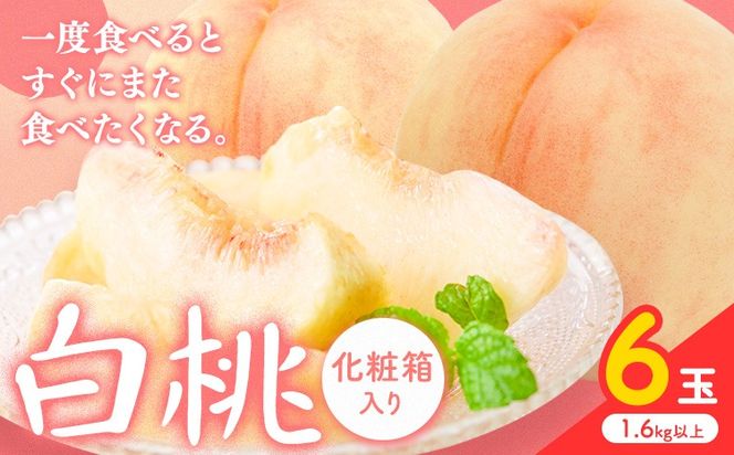 yR}szy2026Ns\z 6(1.6kgȏ) ЎR ({)s2026N7{-8{oׁtR }s   t[c { ʕ Y RY  ① ϔyzsn悠z---Y-23---