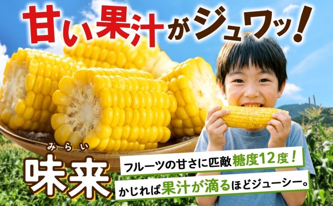 【 2026年 出荷 】 北海道産 朝もぎ イエロー とうもろこし 味来 みらい 2Lサイズ 13本 約5kg 大きめ 夏野菜 とうきび 新鮮 野菜 トウモロコシ ギフト 産地直送 コーン 産直 グリーンアースファーム スイートコーン 
