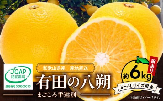 【2027年先行予約】和歌山県産 有田の八朔 (はっさく)【訳あり 家庭用】約6kg【S～4Lサイズ混合】まごころ手選別 _ZE6167n