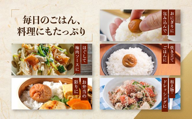 【定期便・3ヵ月毎 全3回】ご家庭用 紀州南高梅 うす塩 つぶれ 550g×2 ［YM15］ 303446_DX90032