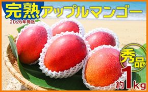 【2026年発送】農園一番人気の完熟アップルマンゴー秀品・約1kg農園から直送！ 秀品 先行予約 沖縄 甘味 糖度 濃厚 美味しい お土産 おいしい ギフト とろける甘さ 香り アーウィン 果汁 高級 箱入り 化粧箱入り 見た目 きれい 綺麗