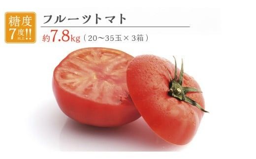 フルーツトマト 大箱 約2.6kg × 3箱 【大玉 20～35玉/1箱】 2026年産 糖度7度 以上 野菜 フルーツ トマト とまと [AF074ci]