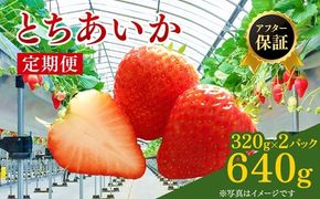 【先行予約】【定期便】いちご市 鹿沼の美味しい「い」「ち」「ご」 とちあいか 15粒入り320g 2パック 2ヶ月連続発送 全2回 お届け ｜ イチゴ 苺 フルーツ 果物 甘い 贈答用 かぬま ※2027年1月～発送