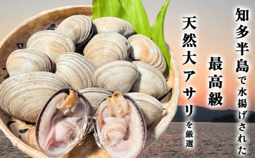 岬だよりの＜知多半島名物＞天然大あさり 半割り(冷凍)特大サイズ3kg(タレ付き)