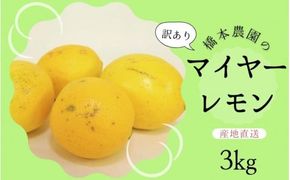 【先行予約】橋本農園の 訳あり マイヤーレモン 3kg【2026年12月中旬から2027年1月中旬までに順次発送】 / レモン マイヤーレモン 檸檬 先行予約 家庭用 ご家庭用【mht008A】