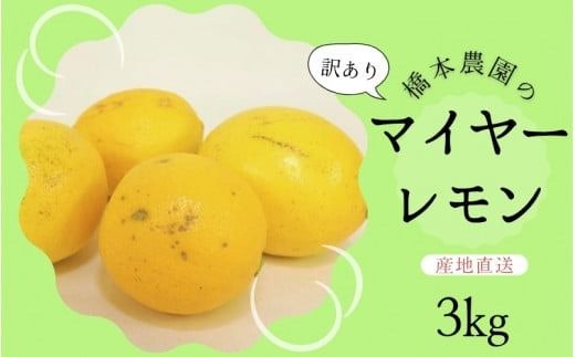 【先行予約】橋本農園の 訳あり マイヤーレモン 3kg【2026年12月中旬から2027年1月中旬までに順次発送】 / レモン マイヤーレモン 檸檬 先行予約 家庭用 ご家庭用【mht008A】