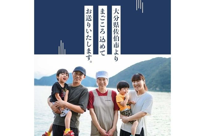 豊後の技と味 干物セット (合計8種・29尾以上) 干物 魚 鯵 アジ 鯖 サバ カマス 鯛 タイ 鰯 イワシ 食べ比べ おかず 国産 詰め合わせ セット 大分県 佐伯市 【FT02】【田辺海産】