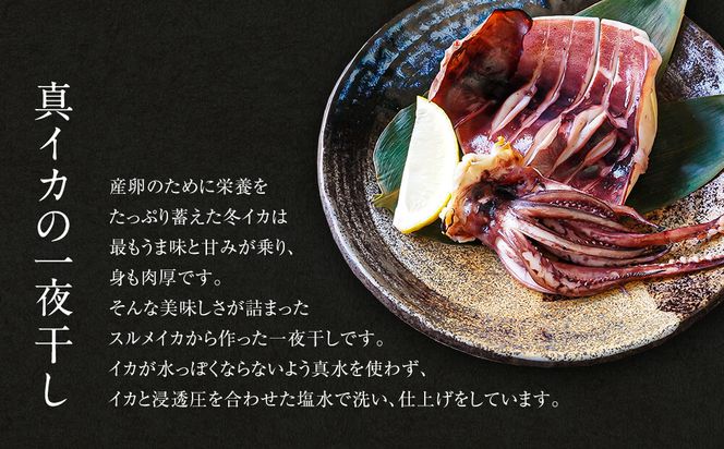 【2026年11月下旬発送】訳あり 漁師町鹿部のイカ尽くしセット 全5品 いか イカ 詰め合わせ セット