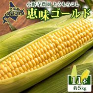 北海道 とうもろこし 恵味ゴールド 約5kg 11本入り 2027年8月11日～31日頃お届け トウモロコシ コーン 甘い 産地直送 BBQ とうきび 国産 人気 バーベキュー 焼きとうもろこし お取り寄せ 北海道産 洞爺湖町 