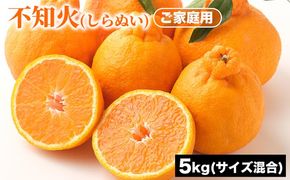ご家庭用 不知火 (しらぬい) サイズ混合 5kg | みかん 柑橘 和歌山 みかん 不知火 しらぬい 家庭用 フルーツ 果物 5kg