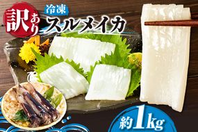 【スルメイカ たっぷり約1kg サイズ不揃い】冷凍 訳あり 国産 バラ凍結 産地直送 鮮度抜群 いか イカ するめいか スルメイカ 刺身 使いやすい 便利 大人気 ふるさと納税 返礼品 香美町 香住 山米鮮魚 12000円 74-17