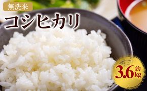 無洗米 コシヒカリ 令和7年産 計約3.6kg cs-0003