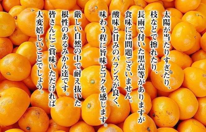 ［先行予約］訳あり それでも 熟成みかん 箱込10kg ( 内容量 9.2kg ) サイズミックス Ｂ品 有田みかん 和歌山県産 産地直送 家庭用 【みかんの会】 	AX343