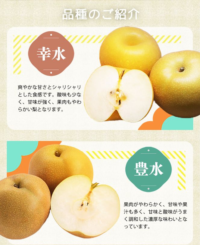 紀州和歌山産の梨 3玉 化粧箱入 ※2026年8月中旬頃〜2026年9月上旬頃に順次発送 ※日付指定不可 梨 なし ナシ 果物 くだもの フルーツ 甘い【uot787】