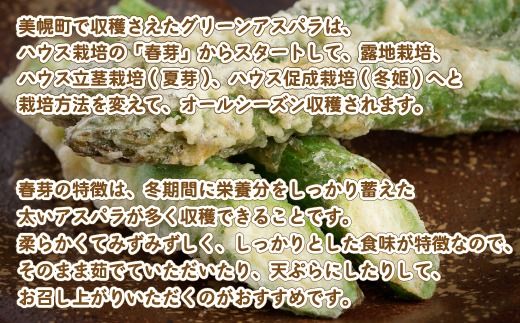 [先行受付]2025年産 柔らかくてみずみずしい朝取りグリーンアスパラ(春芽)3L 1kg【配送不可地域：離島】 BHRG028