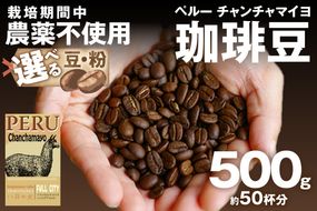 【栽培期間中農薬不使用】自家焙煎コーヒー豆 ペルー チャンチャマイヨ 500g（250g×2）　約50杯分　小分け　豆・粉 選べる 飲料 珈琲 こーひー コーヒー coffee　HA00024