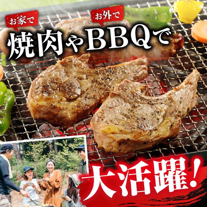 長谷川精肉店 ラムチョップ 骨付きラム肉 2本 2袋 計4本 ラム ラム肉 骨付き 送料無料 北海道 滝川市 【配達不可：離島】