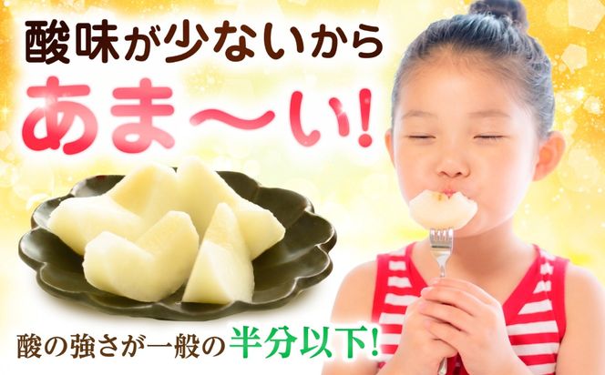 【9〜10月発送】【梨の王様】 こだわり 新高梨 約3kg / 梨 ナシ フルーツ 果物 旬 先行予約 産地直送 家庭用 国産 / 南島原市 / 株式会社マルハチ[SFG001]