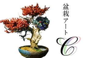 盆栽アート【C】【0120-003】	
