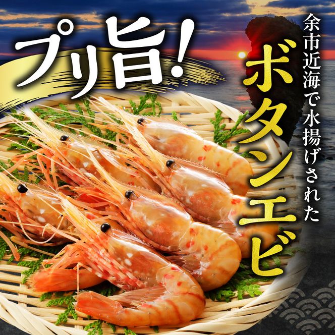 獲れたての味！北海道余市産 ボタンエビ 900g 300g×3パック 地元漁港直送 急速超低温冷凍 獲れたて 刺身用 生食可 国産 天然 牡丹海老 プリプリ食感 小分け 海の宝石 有頭 送料無料_Y022-0026
