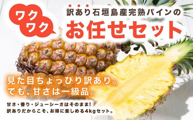 【2026年7月以降順次発送】川平パイン お徳用訳あり4kg ( 品種・玉数・サイズお任せ ) KN-6