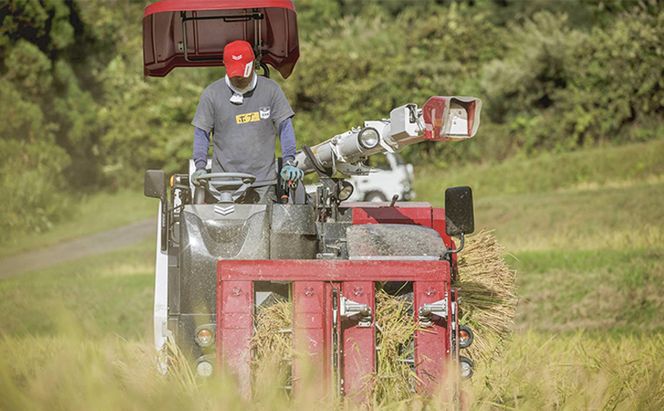 【数量限定！】あま！うま！ミネラル栽培の魚沼産従来コシヒカリ精米5kg (5kg×1袋)