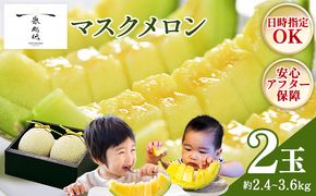 メロン 2個 青肉 2玉 贈答 ギフト 高知 一果相伝マスクメロン 青肉 先行予約 フルーツ メロン 果物 デザート tn-0012