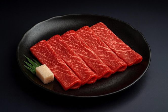 厳選黒毛和牛赤身スライス定期便6か月500g 372013_LG002