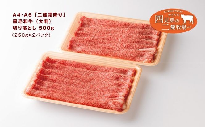 A4･A5「二麓（にろく）霜降り」黒毛和牛（大判）切り落とし 500g（250g×2）ニセコ連峰と鈴鹿山脈、二つの麓（ふもと）で育てた脂の質にこだわった美味しい霜降りをリーズナブルに│牛肉 国産牛 ブランド牛 冷凍便 年末年始 お正月 焼肉 しゃぶしゃぶ すき焼き 三重県 四日市市 ふるさと納税