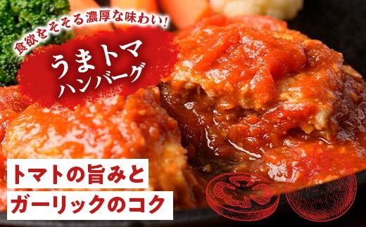 松屋 鉄板焼きハンバーグ20食セット うまトマ＆ブラウン2種ソース | 冷凍 おかず 惣菜 湯煎 レンジ 簡単調理 食べ比べ