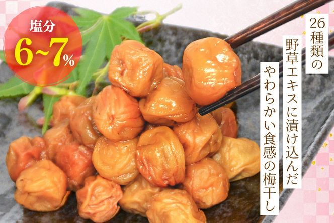 【やわらか】信玄の薬膳小梅干 200g×2 [山梨農産食品 山梨県 韮崎市 20743181] 梅干し 梅干 うめぼし 梅 小粒 小梅 国産