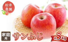 りんご 自家用りんご サンふじ 約5kg フルーツ 果物 甘い 林檎
