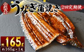 【２回定期便】養殖うなぎ蒲焼き 約165g×１尾(台湾産鰻) - 鰻 ウナギ 養殖 かばやき タレ付き たれ おつまみ スタミナ 土用の丑の日 うな丼 うな重 丼ぶり 一品 おかず 高知県 香南市 冷凍 Wfb-0093