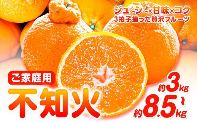 【先行予約】【ご家庭用】紀州有田産 不知火 ( しらぬひ ) 選べる内容量 約3kg 約6kg 約8.5kg 株式会社魚鶴 《2月中旬-3月中旬頃出荷》 和歌山県 日高川町 不知火 みかん 柑橘 果物 フルーツ デコポン と同品種 でこぽん 訳あり不知火 訳ありデコポン 訳あり---wshg_uot110_2c3c_25_9000_3kg---