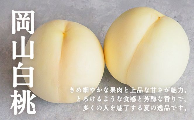 お肉とフルーツ 定期便 5回 コース 2026年 先行予約 桃 もも モモ ぶどう 葡萄 ブドウ シャインマスカット 果物 フルーツ なぎビーフ 肉 お肉 牛肉 牛 和牛 国産 岡山 赤磐市