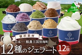 贅沢素材・12種のジェラート【EK0000015】