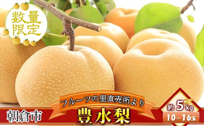 フルーツの里の直売所より 豊水梨 5kg ナシ 果物 先行予約 