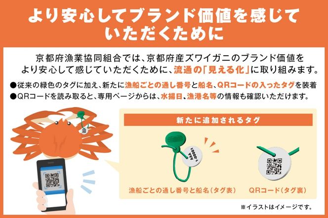 【1～3月発送】最高鮮度の生きたまま発送！京丹後市産活間人かに　900g～1kg特大サイズ/北畿水産　HK00183