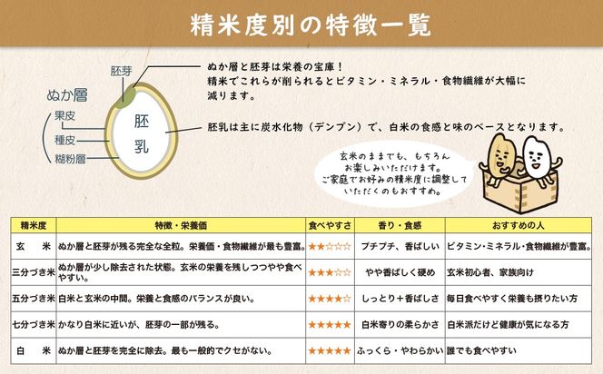 【令和7年産】米 玄米 コシヒカリ 5kg(5kg×1袋) 国産 ご飯 茨城県 境町産 人気 S278