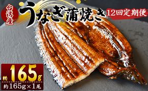 【１２回定期便】養殖うなぎ蒲焼き 約165g×１尾(台湾産鰻) - 鰻 ウナギ 養殖 かばやき タレ付き たれ おつまみ スタミナ 土用の丑の日 うな丼 うな重 丼ぶり 一品 おかず 高知県 香南市 冷凍 Wfb-0096