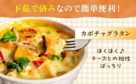 カボチャ 500g 冷凍 カット済み 旬の時期に急速冷凍 【福岡県糸島産】 糸島市 / オーガニックナガミツファーム 野菜 南瓜 かぼちゃ 	[AGE041]