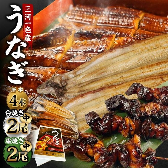  三河一色産 うなぎ蒲焼き 中2尾、白焼き 中2尾 ＋ 肝串焼き 4本 蒲焼タレ 肝串焼き お魚 湯煎 惣菜 セット 簡単調理 冷凍 幸田町 送料無料