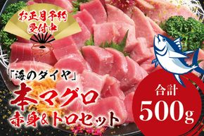 【お正月予約12月25日～29日に発送】本マグロ（養殖）トロ＆赤身セット 500g 高級 クロマグロ  中トロ 中とろ まぐろ マグロ 鮪 赤身 柵 じゃばらまぐろ 年内配送 年内発送 お正月 正月【nks110D-sg】