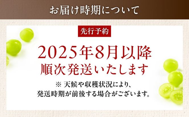 【2025年先行予約】【桜島産】シャインマスカット　K261-001