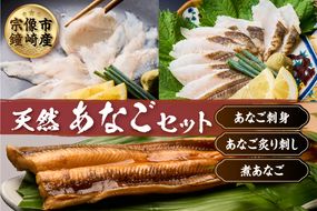 あなごセット（あなご炙り刺し、あなご刺身、煮あなご）【宗像漁協】_HA1518