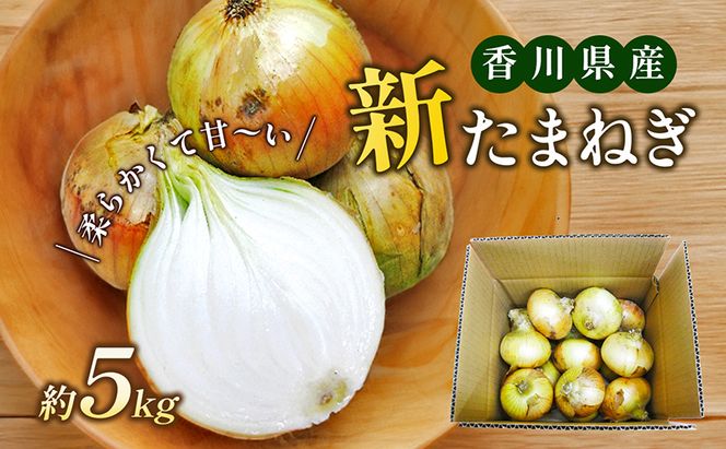香川県産　新たまねぎ　約5kg