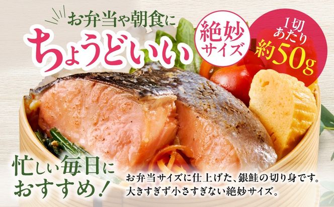 G3710 【お弁当サイズ】銀鮭 切身 約50g×20切れ【小分け 漁師 手切り 1kg さけ サケ 切り身 弁当 朝食 時短 訳あり サイズ不揃い 規格外 冷凍食品 スピード発送】