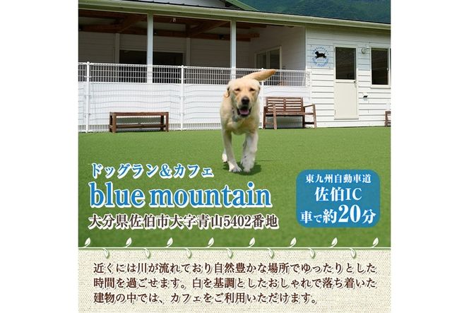 メール便でお届け！ドッグラン利用券(ランチ・スイーツ・お土産付き)(1頭1回分) 犬 ワンちゃん ペット チケット おやつ カフェ 体験 レジャー 自然 屋内 屋内 ラン ポスト投函 大分県 佐伯市【HI001】【ドッグラン&カフェblue mountain】