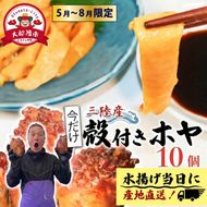 【先行予約】 ホヤ専門業者 殻付きホヤ 10個 ＼5月頃より順次発送／ 期間限定ほや ホヤ Hoya 串焼き フライ ごはん 夕飯 おかず おつまみ 晩酌 海産物 海鮮 魚介 魚介類 珍味 大船渡 ニュース てれび TV テレビ 放送 番組 被災 災害 三陸 岩手県 国産