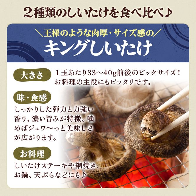 北海道産 厚岸町 上尾幌 菌床栽培 キングしいたけ 1パック プリンスしいたけ 2パック 